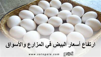 ارتفاع أسعار البيض في المزارع والأسواق