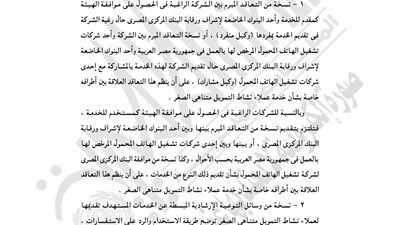«الرقابة المالية» تعدل قواعد مشاركة الشركات في تمويل متناهي الصغر