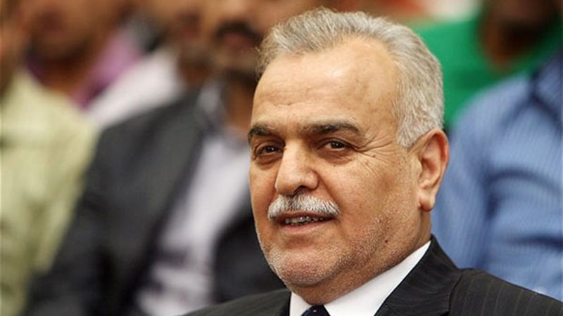  طارق الهاشمي، نائب
