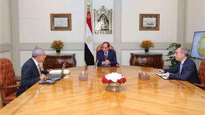 السيسي يؤكد مواصلة تنفيذ خطة نقل مدابغ الجلود إلى «الروبيكي»