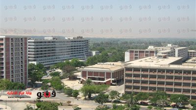 جامعة أسيوط تخصص رقم 