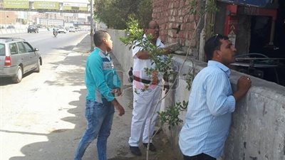 بالصور.. حملات مرورية على الطرق السريعة لإزالة الإشغالات