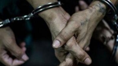 حبس مورد حيوانات في واقعة هروب «نمر العياط»