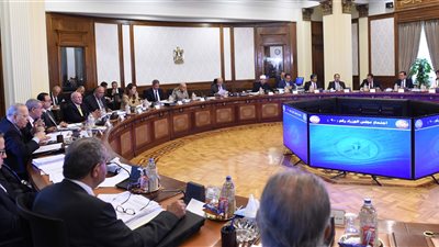 الحكومة تستعرض تقرير صندوق النقد الدولي حول الأوضاع في مصر