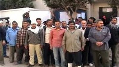 داليا موسى: قانون الحريات النقابية كلمة السر لوقف الاحتجاجات والعنف