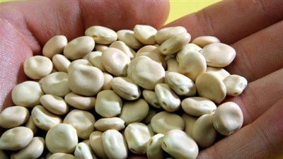 ماسك الترمس يخلصك من مشكلات الشتاء