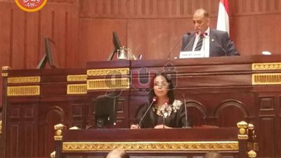 مايا مرسي تشارك في اجتماع تضامن البرلمان