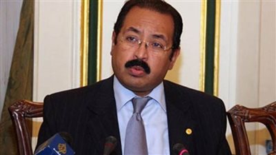 رسلان يفند مزاعم باحث سوداني حول أزمة سد النهضة | فيديو