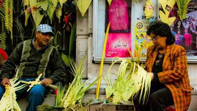 فرحة المصريين بأحد السعف