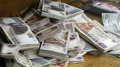 12 مواطنا بالسويس يتهمون شابا بالاستيلاء على 12 مليون جنيه