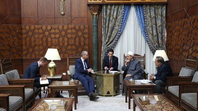 الإمام الأكبر: حرية الرأي ليست مبررًا للإساءة إلى الأديان