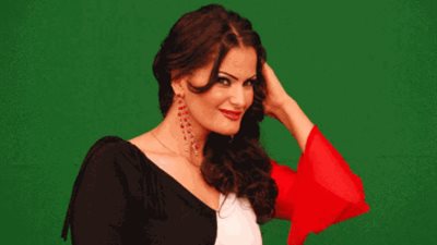 25 أكتوبر.. الحكم في دعوى غلق قناة «فلول»