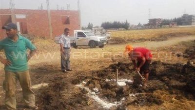 بالصور.. حملة لإزالة التعديات على الأراضي الزراعية بالشرقية