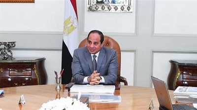 السيسي يطالب بـ«عاصمة جديدة» ذكية وصديقة للبيئة