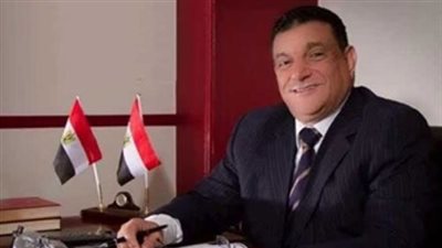 حماة الوطن: مشاركة «الخارجية» لحماية آثارنا واجب وطني