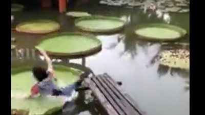 نهاية مروعة لفتاة حاولت السير على المياه (فيديو)