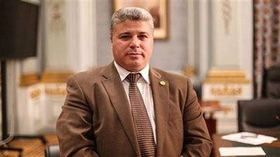 نائب يطالب بتشكيل لجنة دائمة لإعادة الآثار المنهوبة في الخارج