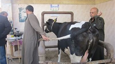 بالصور.. «زراعة الشرقية» تنظم قافلة طبية بقرية الجديدة في منيا القمح