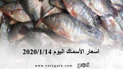 اسعار الأسماك اليوم 2020/1/14