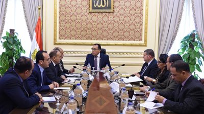 مدبولي: لن نخفض نسبة الأراضي المزروعة بالقطن طويل التيلة