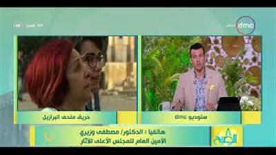 «الآثار»: متحف البرازيل المحترق كان يحتوي على 700 قطعة مصرية فقط