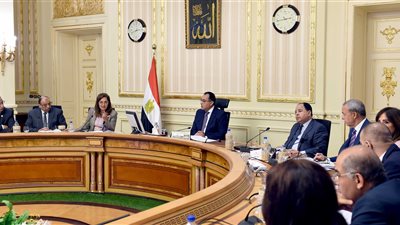 رئيس الوزراء يعقد اجتماعا للجنة تسيير برنامج التنمية المحلية بصعيد مصر