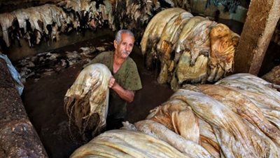 صناعة الجلود تلفظ أنفاسها الأخيرة.. ارتفاع أسعار المواد الخام بعد تعويم الجنيه.. نقص العمالة المدربة يهدد القطاع.. الاستيراد يهز عرش المنتج المحلي.. وكساد بالأسواق بسبب الغلاء