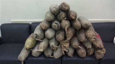 ضبط 10 كيلو بانجو بحوزة عاطل فى الشرقية