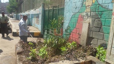 بالصور.. استمرار حملات النظافة بمحيط مدارس الجيزة