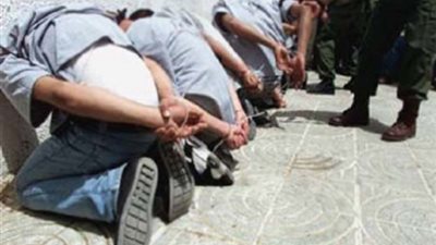 ضبط 5 تكفيريين وتدمير 6 سيارات ونفقين في حملة أمنية بشمال سيناء