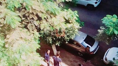 بالصور.. طلاب يقفزون من أعلى سور مدرسة إعدادية ببورسعيد