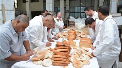 مجلس تنمية الزراعة بالمملكة المتحدة يختبر القمح البريطاني بالقاهرة