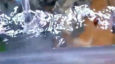 امرأة تقتل أسماك حبيبها الخائن بالكلور (فيديو وصور )