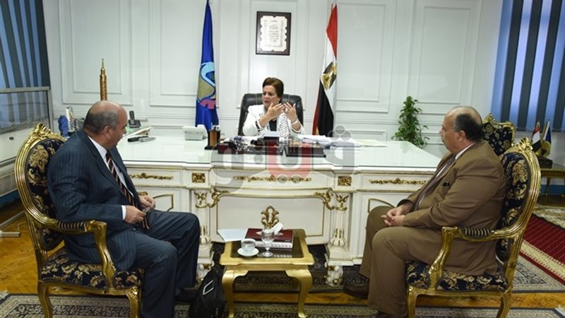 فيتو