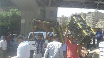 رفع إشغالات «الكارو» بمحيط سور مجرى العيون