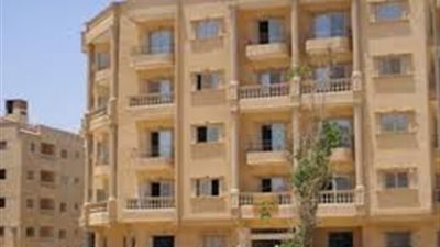 الهياتمي: 30 % فقط من حجم أعمال 