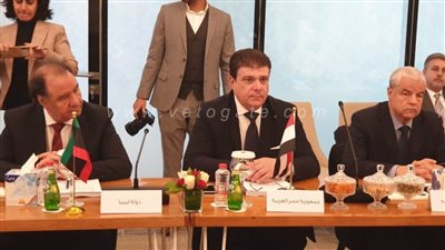 أسامة هيكل ينيب حسين زين لحضور اجتماع وزراء الإعلام بدبي