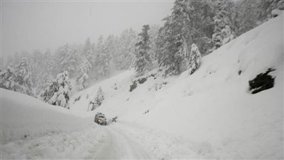 مصرع 60 شخصا في انهيارات ثلجية بباكستان