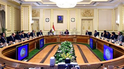 ٦ قرارات حصاد الاجتماع الأسبوعي لمجلس الوزراء