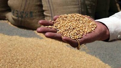 ضبط 25 طن قمح و23 جوال دقيق و14 جوال فول فاسد بالإسكندرية