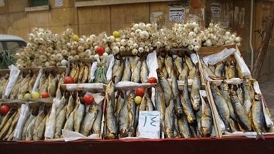 الطب البيطرى بالغربية يرفع حالة الاستعداد لاستقبال شم النسيم