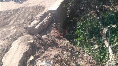 تفاصيل المواجهات بين مثيري الشغب والشرطة في طوخ.. الأهالي يعترضون على تنفيذ حكم قضائي.. الأمن يطلق الغاز المسيل للدموع.. إصابة 2 من المخبرين ووقوع تلفيات بـ3 سيارات.. والقبض على 8 أشخاص