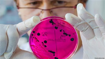 أسلوب الحياة ودوره في تجنب الإصابة بأنواع عديدة من السرطان