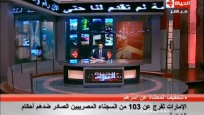 بالفيديو.. قنصل مصر بدبى: العفو عن السجناء المصريين قرار 