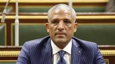 مقدم استجواب وزيرة الصحة: السيسي نموذج للعمل والوزراء بيكبروا دماغهم.. وزايد 