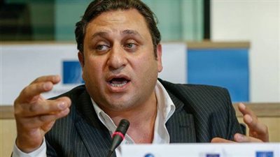 «عقيل»: نراقب إجراءات الخارجية لتسهيل تصويت المصريين بالخارج