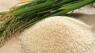 وزير التموين: مجلس الوزراء يرفض تصدير الأرز