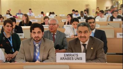 الإمارات تجدد دعمها للشرعية والوحدة باليمن