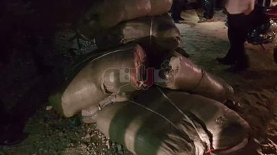 ضبط أكبر محاولة تهريب ملابس وأجهزة عبر المدقات في بورسعيد (صور)