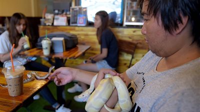 مقهى كمبودي لاحتساء المشروبات مع العقارب والثعابين (صور)